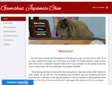 Tablet Screenshot of gumshuzchin.com